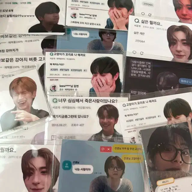 보넥도 비공굿 일괄