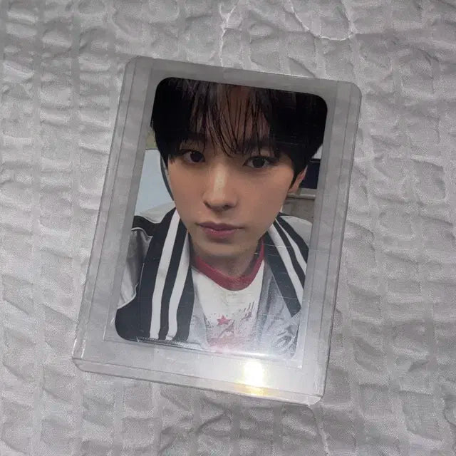 엔시티 위시 전시회 5만원 금액 특전 유우시 포카