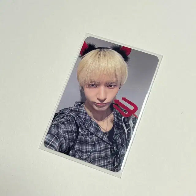 엑디즈 오드 뷰마 beautiful mind 서울콘 막콘 입장 포카