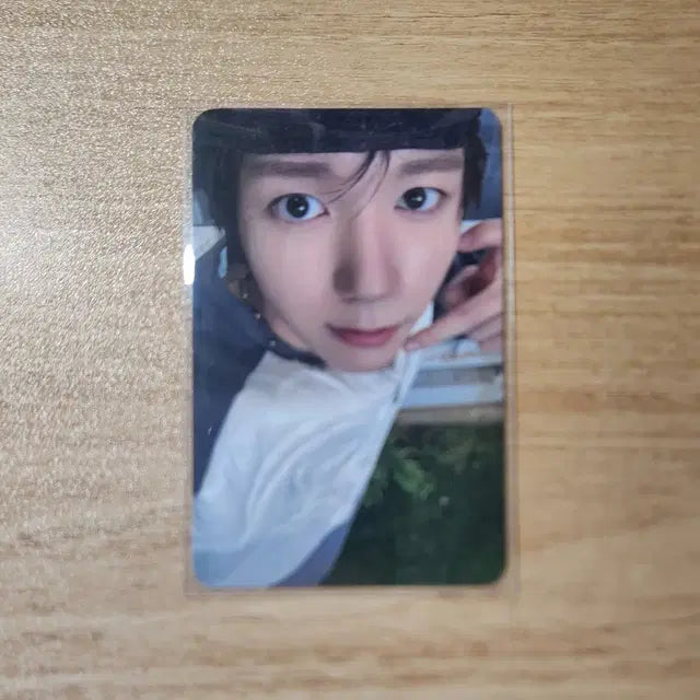 엔시티위시 컬러 케타포 미공포 포카 료