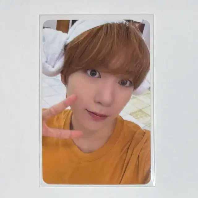 애플뮤직 럭드 찜질방 료 포카 양도 엔시티 위시 앺뮤