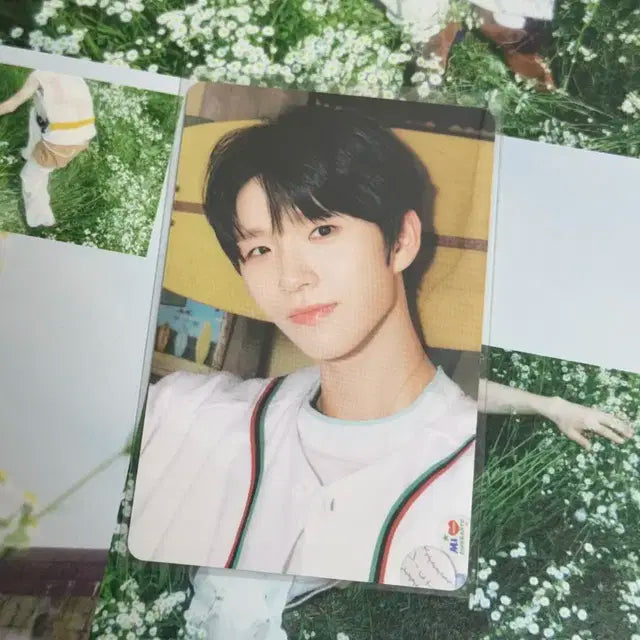 엔시티 위시 컬러팝업 트레카 서프버접 재희 포카