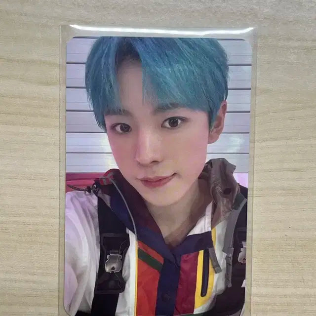 유우시 송버드 스미니 포카 양도