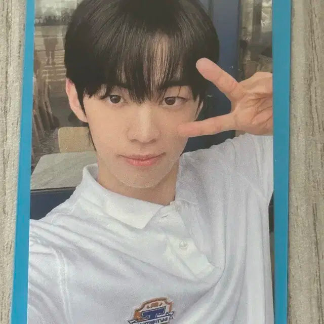 투어스 도훈 썸머비트 포카 앨포