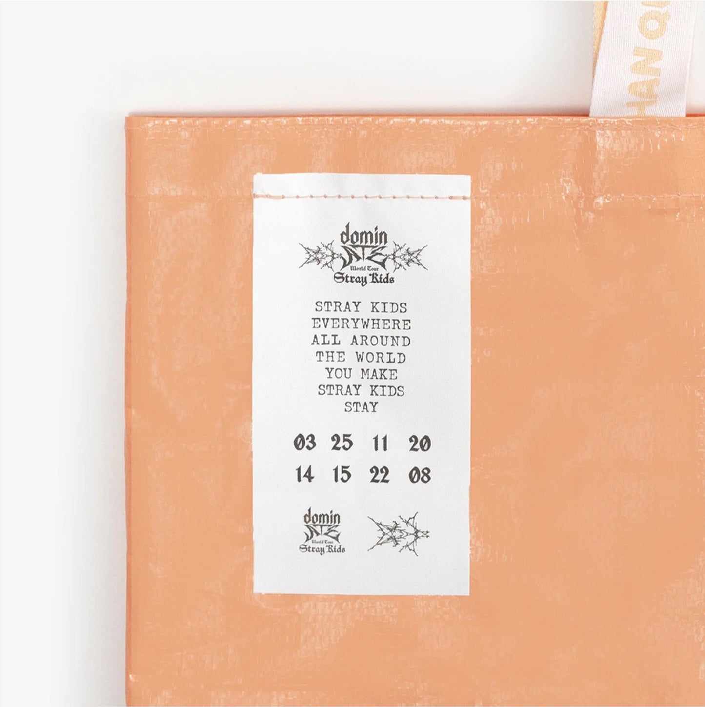 STRAY KIDS - SKZOO SHOPPING BAG『Stray Kids World Tour <dominATE JAPAN> 』
