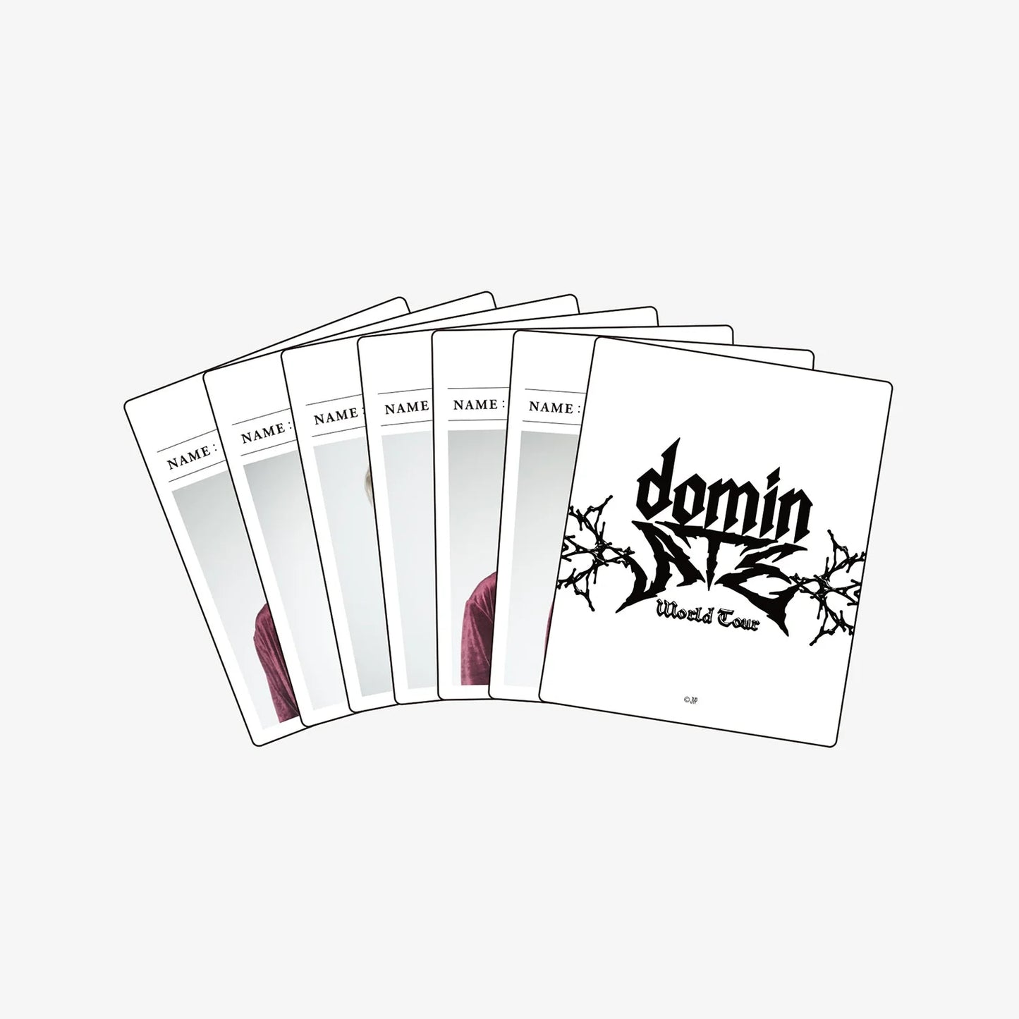 STRAY KIDS - World Tour <dominATE JAPAN> Official Goods