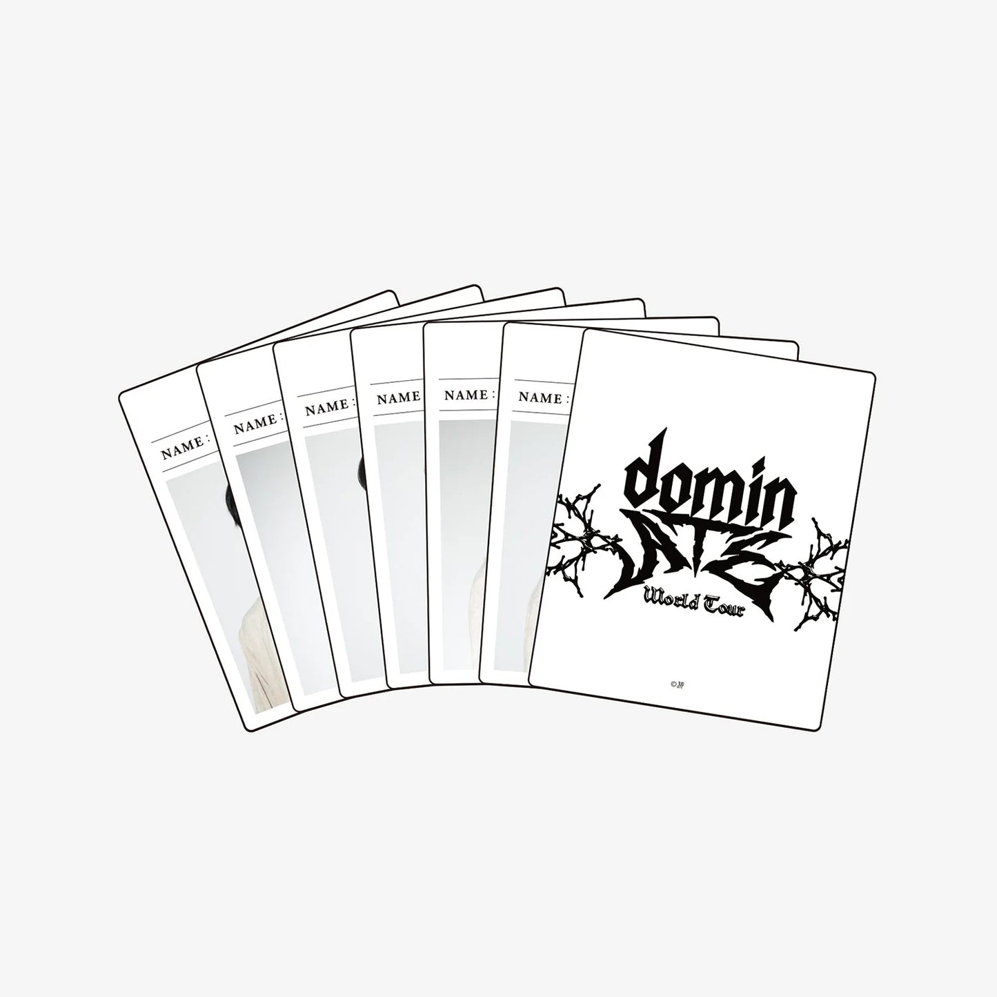 STRAY KIDS - World Tour <dominATE JAPAN> Official Goods