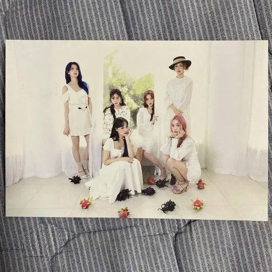 드림캐쳐 BOCA 팬싸응모 특전 엽서