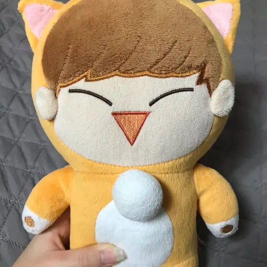 비투비육성재인형 사막성재 양도
