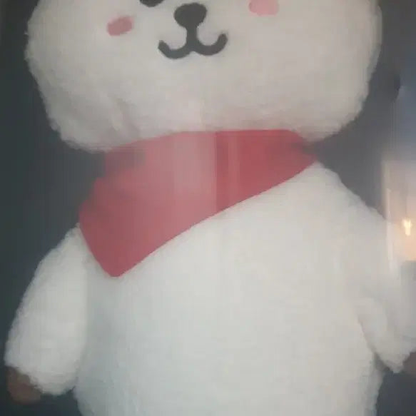 알제이 시리즈