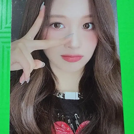 엔믹스 설윤 포카(하자)
