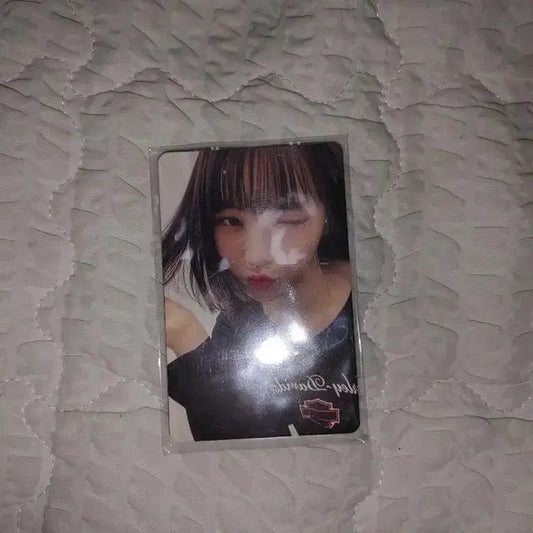 피어나 1기 공식키트 포토카드
