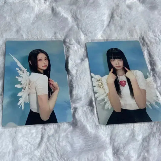 폭덤) 르세라핌 포카