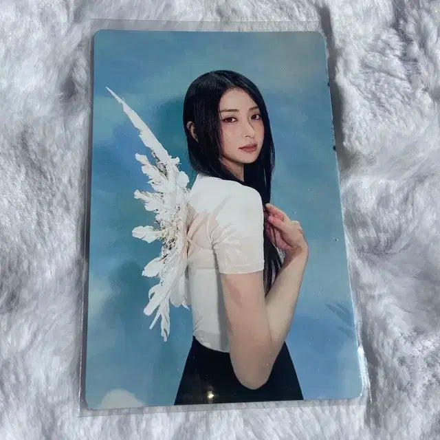 폭덤) 르세라핌 포카