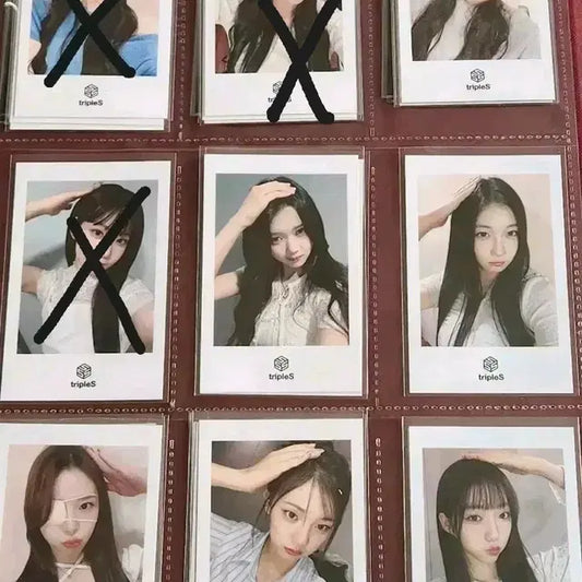 트리플에스 미공포 폴라 포카