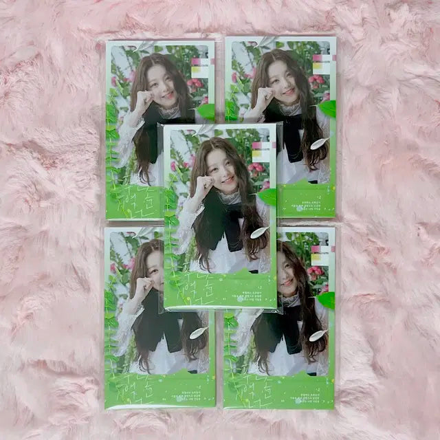 아이브 장원영 비공굿 포토카드 푸기너 원영
