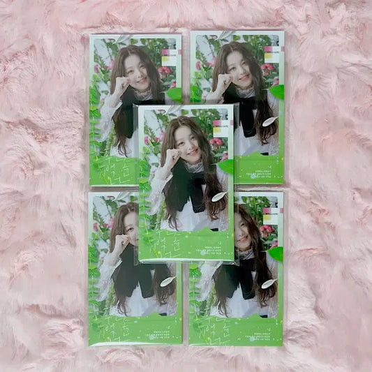 아이브 장원영 비공굿 포토카드 푸기너 원영