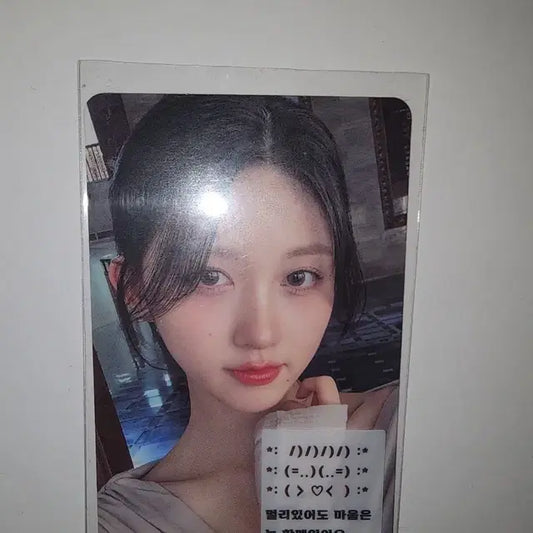 아이브 가을 사웨 럭드 (최저가)
