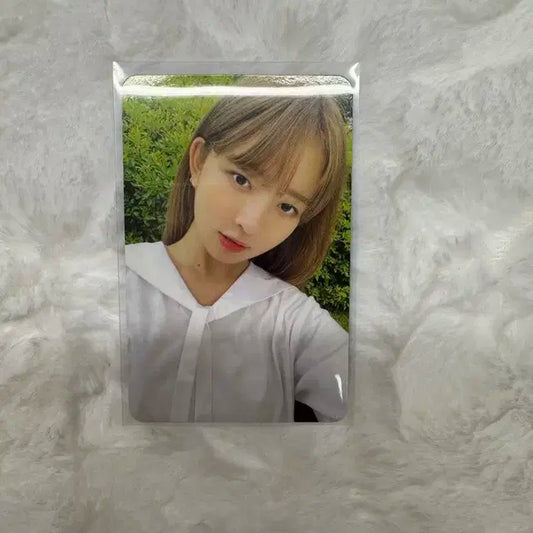 아이브 레이 포카
