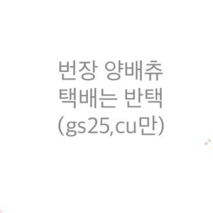 아이브 포카)아이엠 스스퀘 레이 판매
