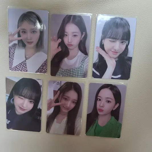 아이브 파파존스 포카 팔아요!