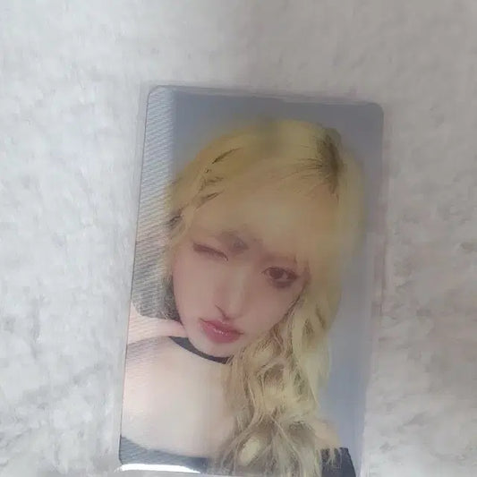 리즈파존 포카