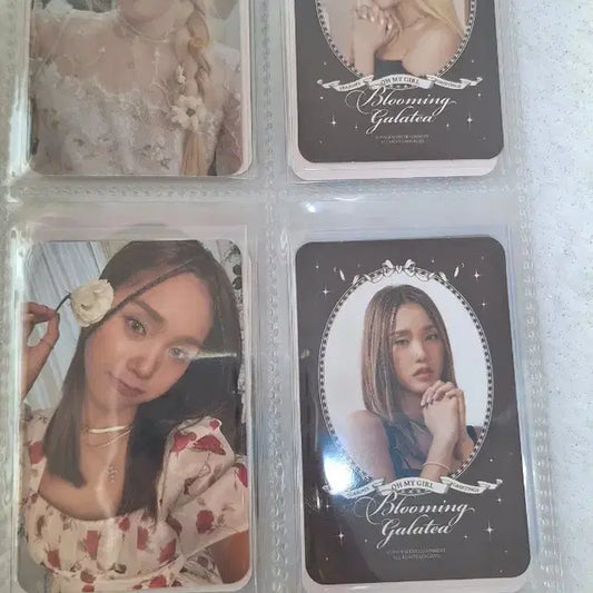 오마이걸 아이브 뉴진스 포카 처분