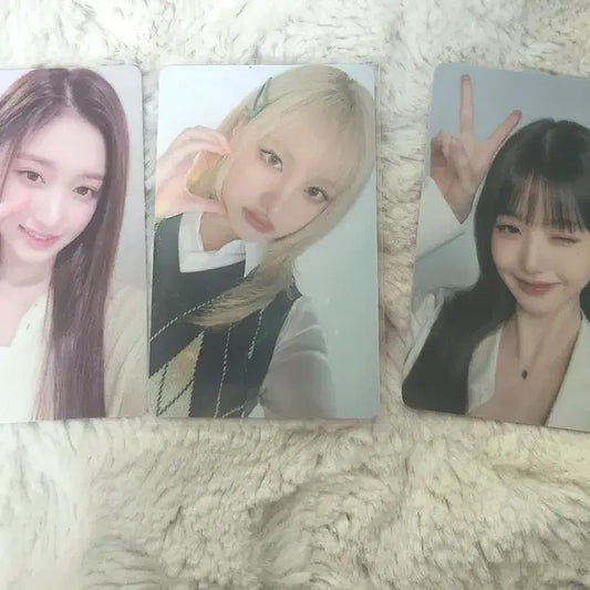 아이브 파파존스 포토카드