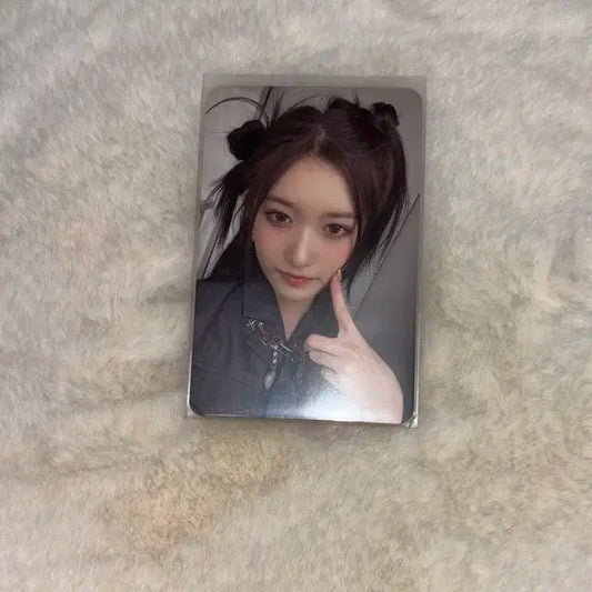 아이브 배디 이서