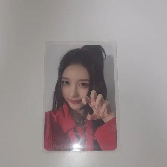 아이브 가을판매 |폭덤