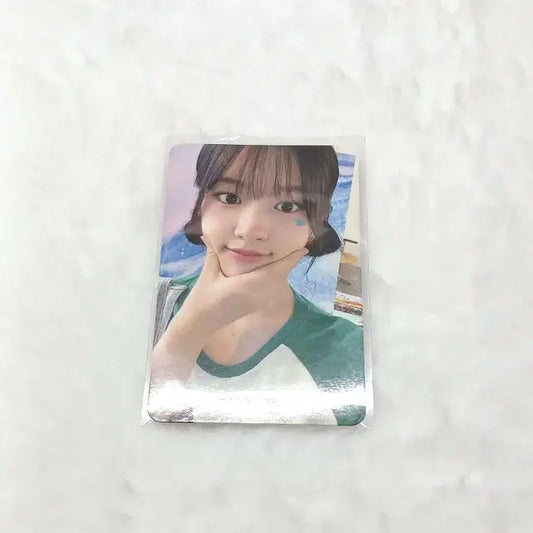 2025 시그 유진 포카