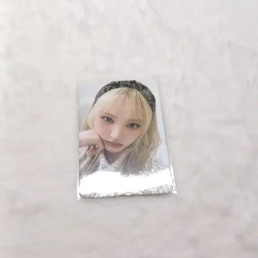 2025 시그 리즈 포카
