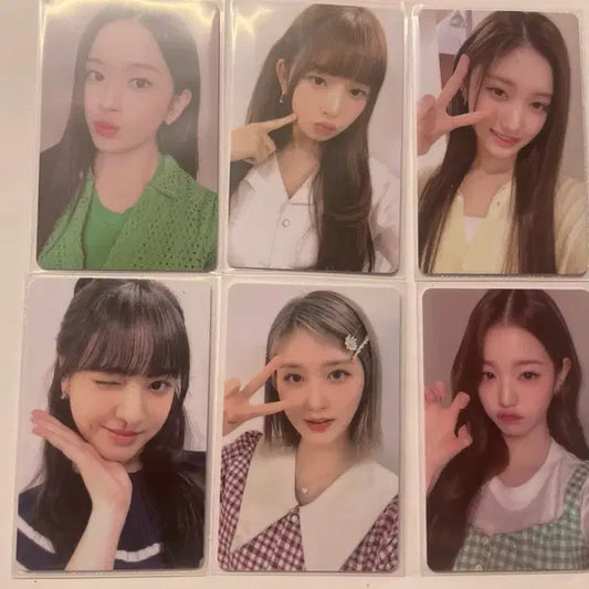 아이브 파파존스 포카 일괄판매
