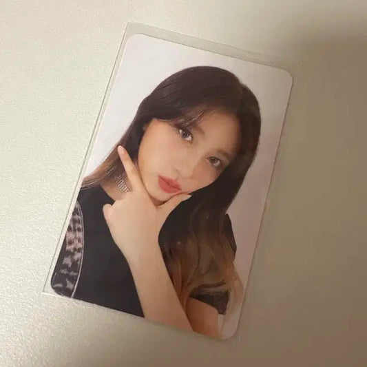 아이브 가을 일레븐 앨포