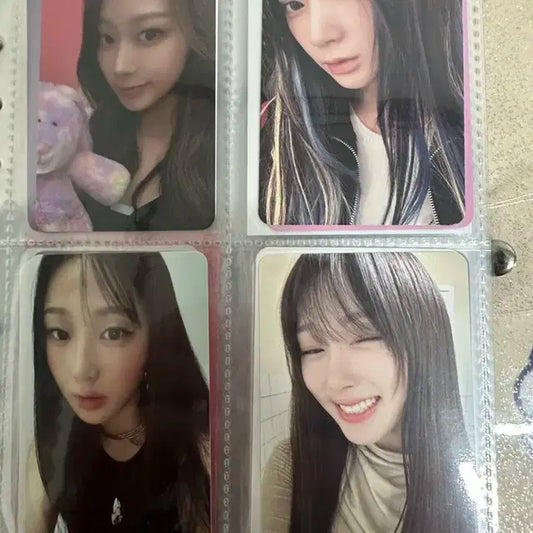 에스파 지젤 포카 양도