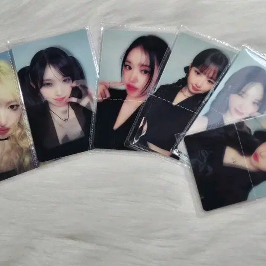 아이브 파파존스 포카(공굿덤 드립니닷!)