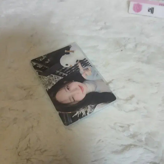 아이브 가을포카
