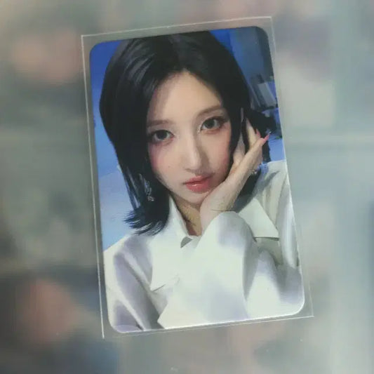 아이브 가을 미공포 판매