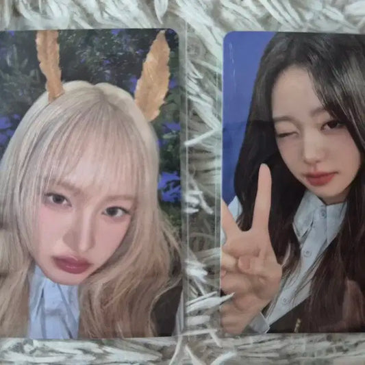 아이브 팬콘 트레카 md포카 원영 리즈