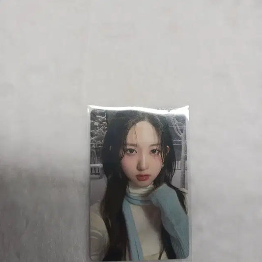 엠파시 가을 포카