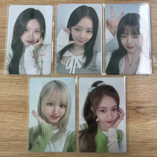 아이브 파파존스 포카 판매