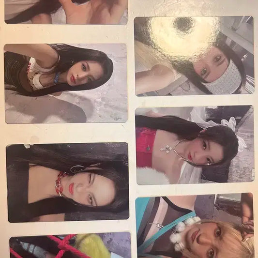 베이비몬스터 포카 특전