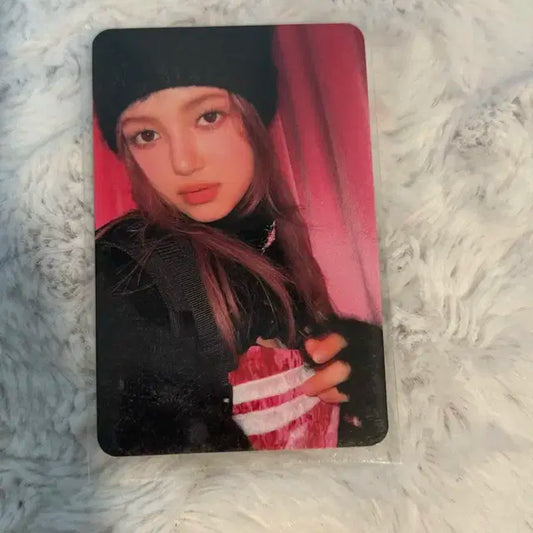 다니엘 앨범 포카