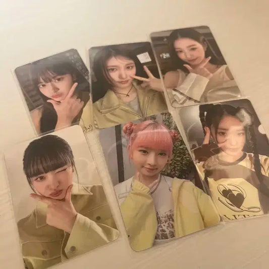 번장 최저가!!!) 아이브 옥수수수염차 포카