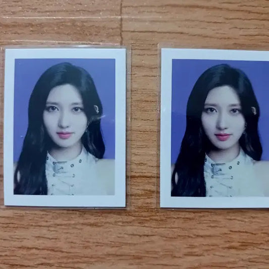 아이브 가을 증사 증명사진