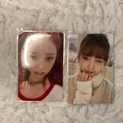 레이포카 팔아용