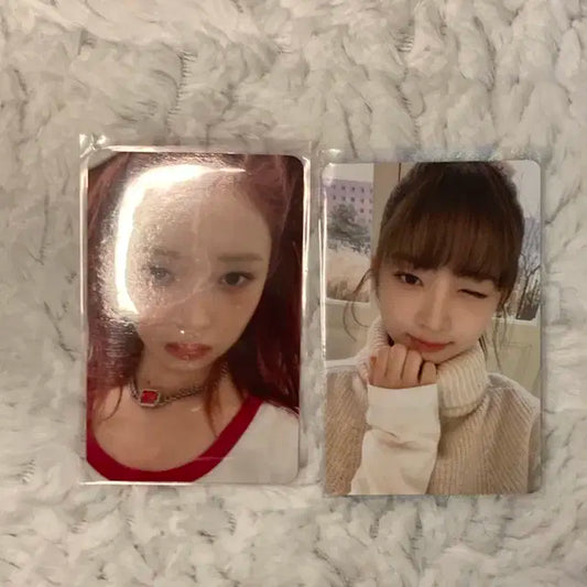 레이포카 팔아용