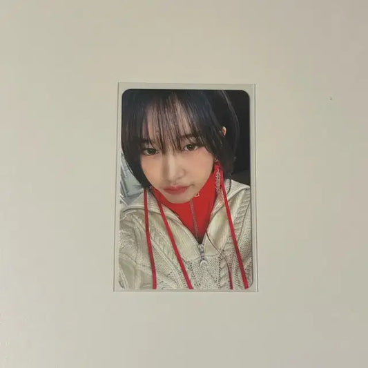 마인 앨포 유진