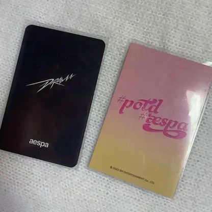 에스파 지젤 윈터 포카