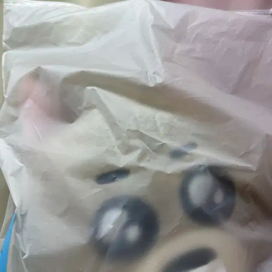 보넥도 보이넥스트도어 쁘넥도 명명이 쿠션
